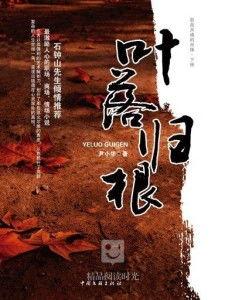 叶落归根在线观看,寻根之旅，情感共鸣的视觉盛宴