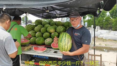 杭州网红打架吃瓜,网络热传的“吃瓜”瞬间 第3张 杭州网红打架吃瓜,网络热传的“吃瓜”瞬间 第3张